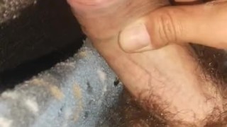 Young canary has fun at night